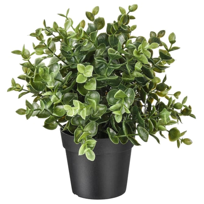 IKEA  FEJKA Artificial potted plant, oregan, 9 cm with Plant pot, in/outdoor grey, 9 cm (3 ½ ")