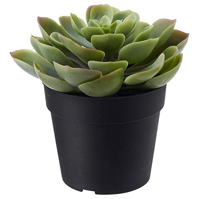 IKEA Artificial potted plant, in/outdoor Succulent, 9 cm WITH Plant pot, galvanised, 9 cm