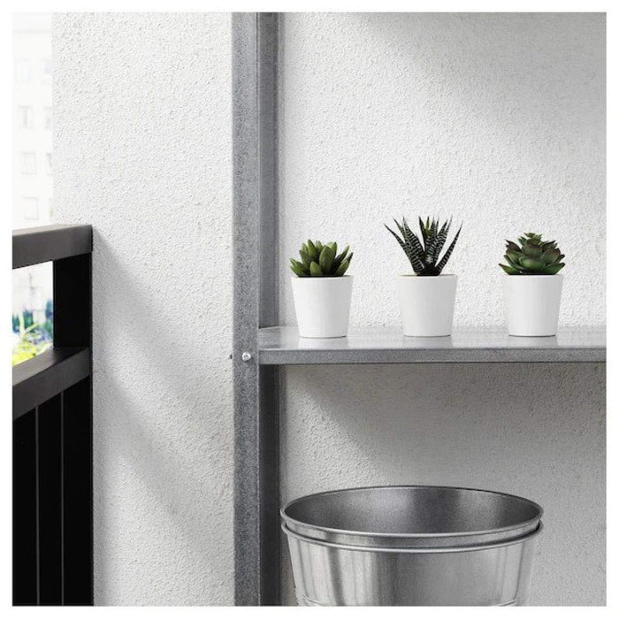 Three potted plants on a shelf next to a metal bucket against a white wall.