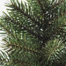 Close-up of a branch of a coniferous tree with green needles.