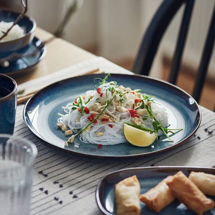 Top view of IKEA GLADELIG round dinner plate, 25 cm
