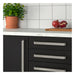 Black kitchen cabinet with silver handles on a white countertop, featuring a potted plant and fruits.