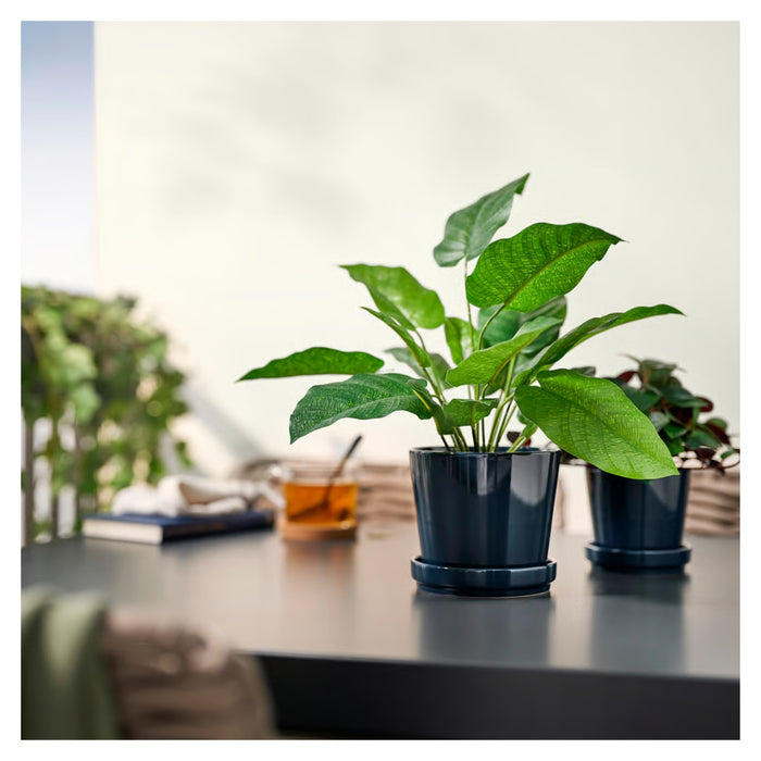 IKEA FEJKA Artificial potted plant, in/outdoor B0GDLRG2FD, 12 cm and 15 cm ( 2 models )