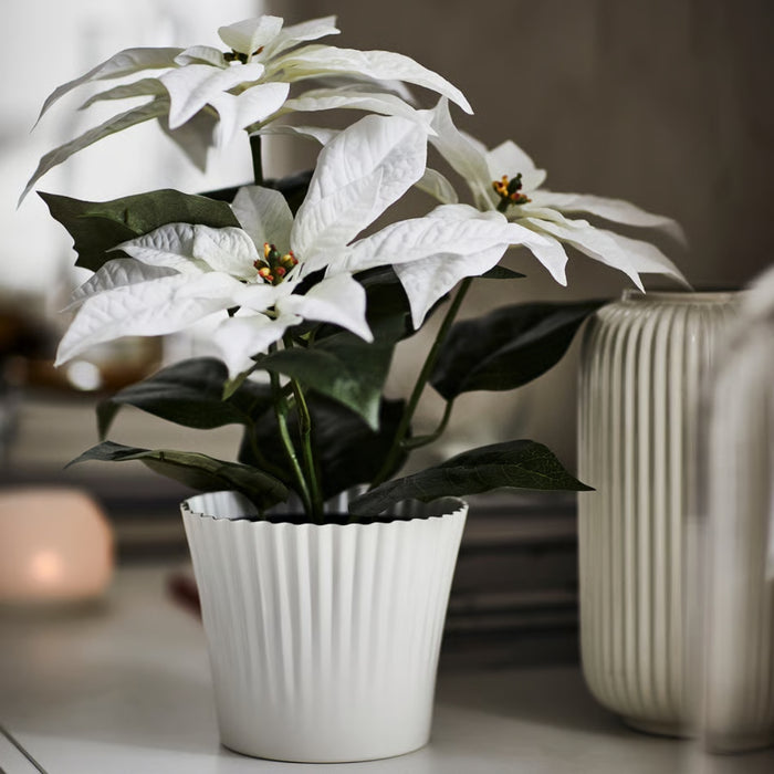 IKEA VINTERFINT Plant pot, white, 12 cm with  VINTERFINT Artificial potted plant, in/outdoor Poinsettia/white, 12 cm