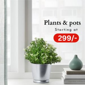 Artificial Plants, Flowers & Pots
