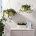 IKEA ÅKERBÄR yellow hanging planter viewed from above showing inside diameter and pot depth