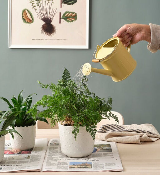  an image of the watering can being used indoors: "Indoor Plant Care with IKEA ÅKERBÄR Yellow Watering Can