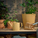 an image of the watering can in a garden setting: "Outdoor Gardening with IKEA ÅKERBÄR Yellow Watering Can - Versatile 1L Too