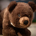 IKEA ALPTALL black bear cub soft toy 27cm close-up of face and embroidered eyes