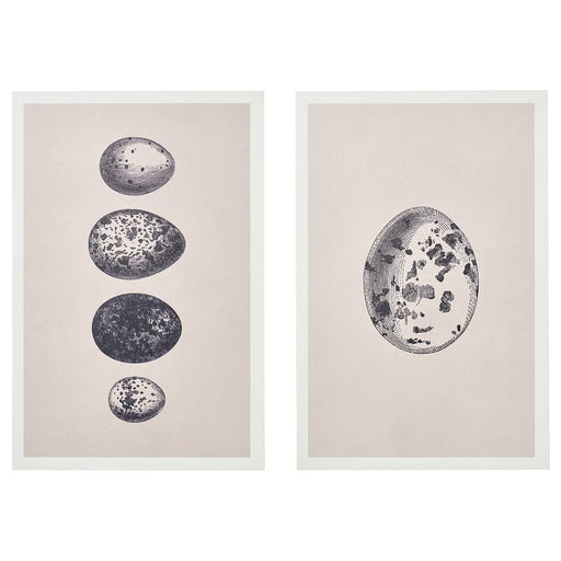 IKEA BJÖRNAMO framed art print set, eggs pattern, black and white nature motif, white frame #00533215