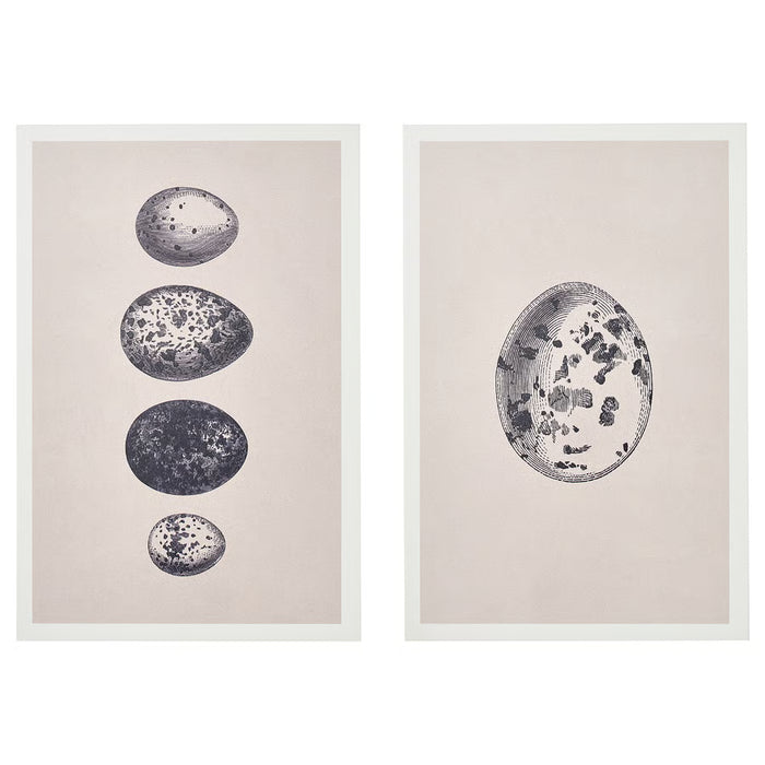 IKEA BJÖRNAMO framed art print set, eggs pattern, black and white nature motif, white frame #00533215