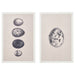 IKEA BJÖRNAMO framed art print set, eggs pattern, black and white nature motif, white frame #00533215