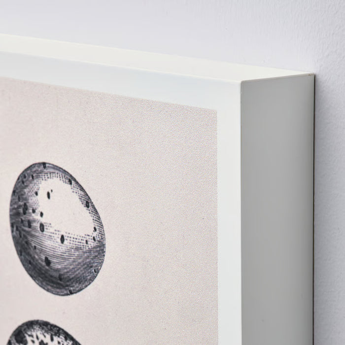 Close-up of IKEA BJÖRNAMO framed print, black and white circular egg motif on light wall