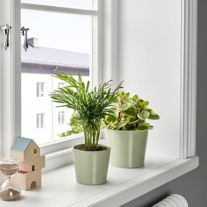 IKEA BROKSPIREA light green plant pot 9cm front view with small potted plant indoors