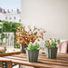  IKEA BUSKVERK grey plant pots with succulents on table stackable indoor planters