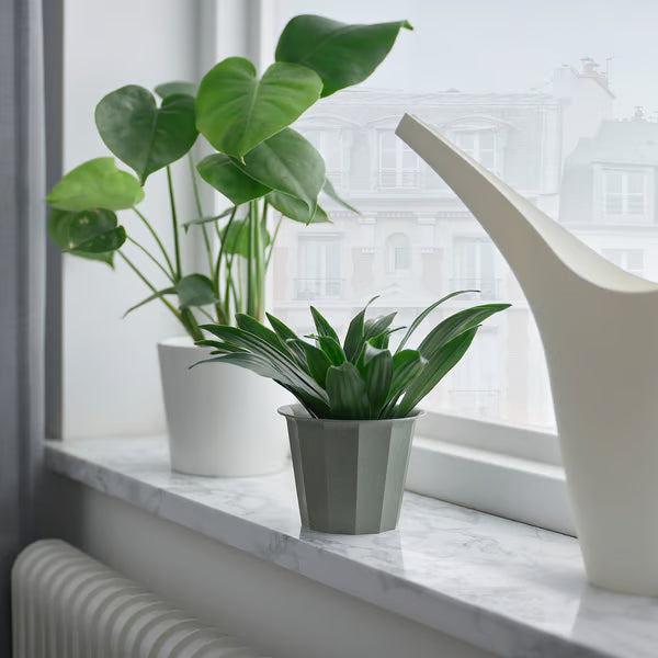 IKEA BUSKVERK grey plant pot with green plants on windowsill city view indoor use