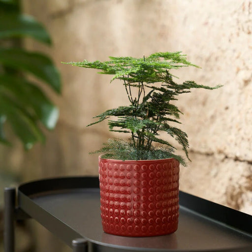 IKEA CHIAFRÖN Plant Pot in vibrant red, ideal for both indoor and outdoor settings, 9 cm-10574559