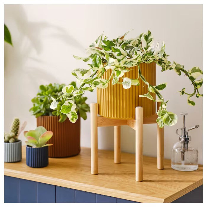 Premium Bamboo Plant Stand showcasing indoor greenery.