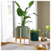 Bamboo plant stand adding a touch of nature to home decor