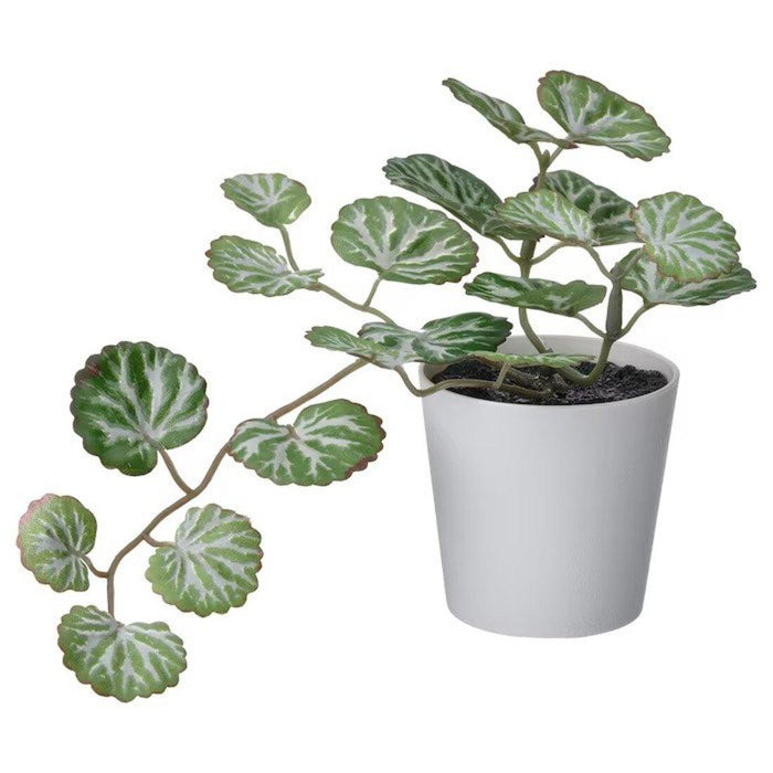 IKEA Artificial potted plant with pot, in/outdoor white/green, 6 cm with GRADVIS Plant pot, grey6 cm