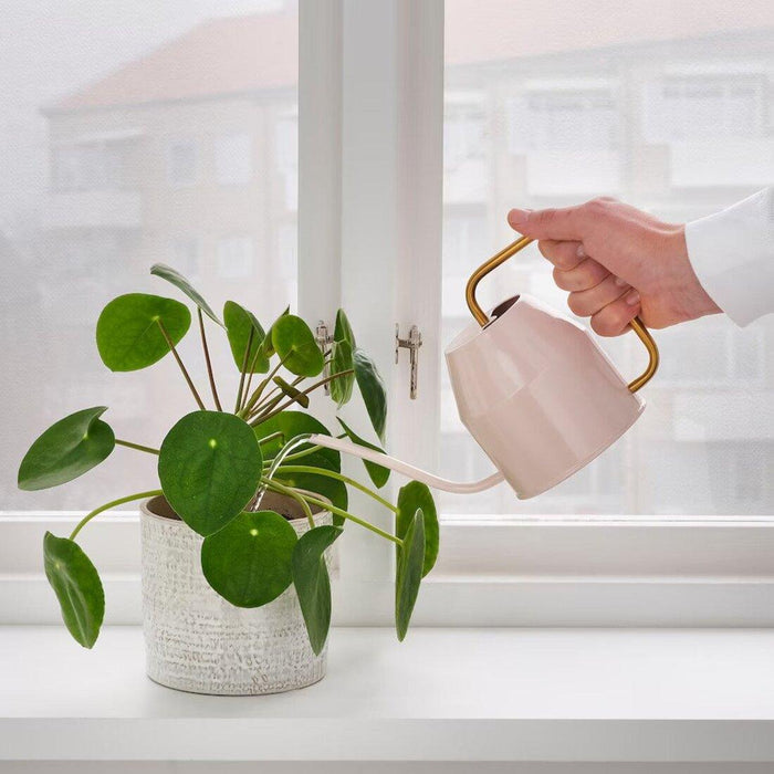 IKEA VATTENKRASSE Watering can, pale pink/gold-colour0.9 l with KLARBÄR Plant pot with saucer, in/outdoor brown, 12 cm