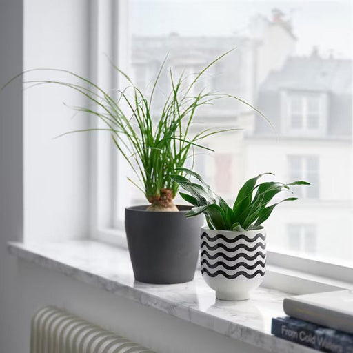 A versatile planter for any decor