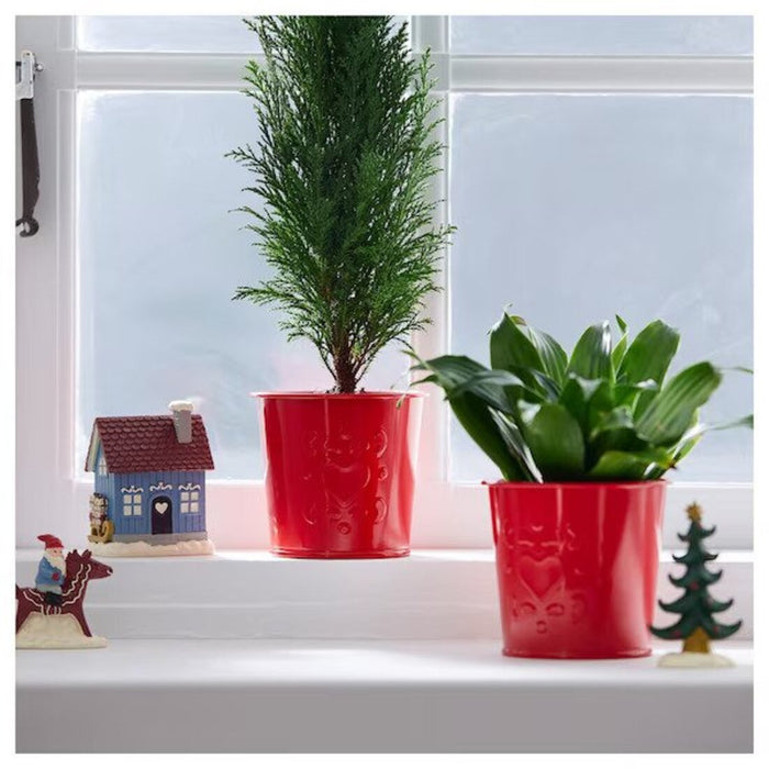 "Decorative indoor plant pot in red with heart motif.