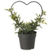 An image of IKEA VINTERFINT Artificial Potted Plant - Myrtle/Bow Design - Indoor/Outdoor Décor - 9 cm (3 ½ inches)"