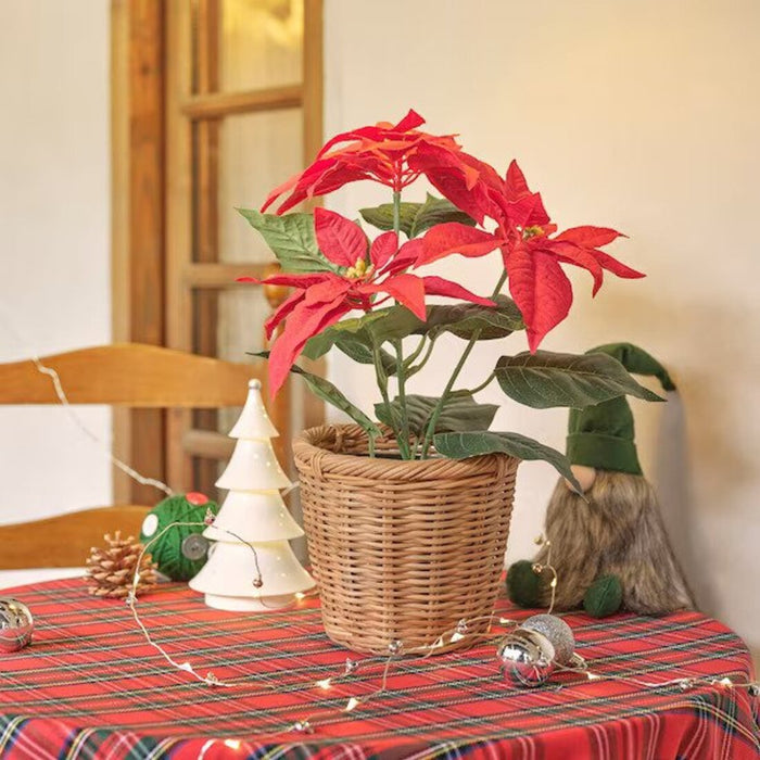 Digital Shoppy A beautiful red poinsettia plant in an artificial pot, perfect for both indoor and outdoor decoration