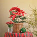 Digital Shoppy A beautiful red poinsettia plant in an artificial pot, perfect for both indoor and outdoor decoration