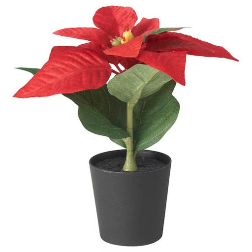 Digital Shoppy Festive and low-maintenance IKEA Artificial Potted Plant in Poinsettia Red, 6 cm - perfect for enhancing any indoor or outdoor setting