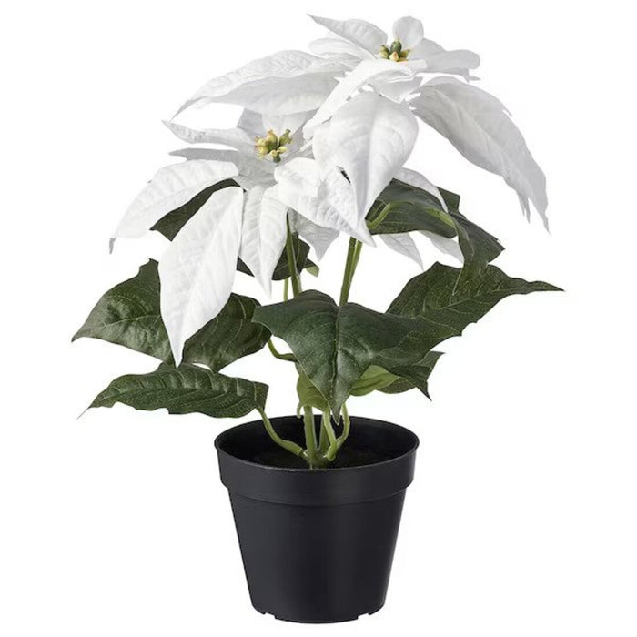 IKEA VINTERFINT Plant pot, white, 12 cm with  VINTERFINT Artificial potted plant, in/outdoor Poinsettia/white, 12 cm