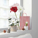 Holiday-themed home decor featuring the IKEA VINTERFINT Artificial Potted Plant with white Poinsettia.
