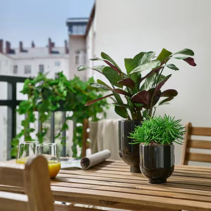 Herb garden with various herbs in stylish anthracite plant pots.  00545143