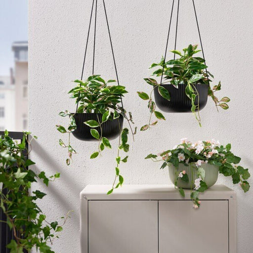 Digital Shoppy Versatile ÄPPELROS Hanging Planter in/outdoor anthracite, 27 cm – a stylish solution for your favorite plants 90535984