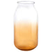 IKEA AROMATISK Glass Vase - Elegant home decor accessory, 25x12 cm (10x5 inches