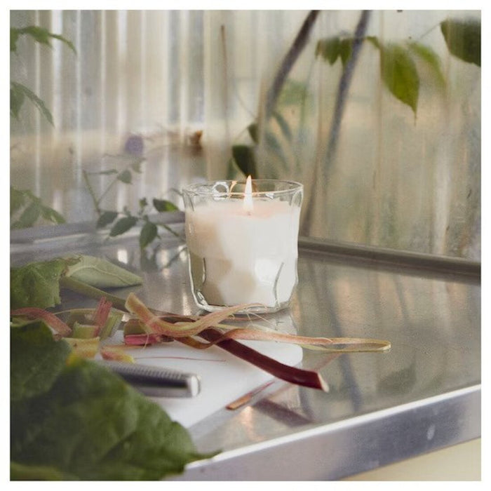 IKEA BASTUA Scented candle in glass, Rhubarb elderflower/white, 35 hr