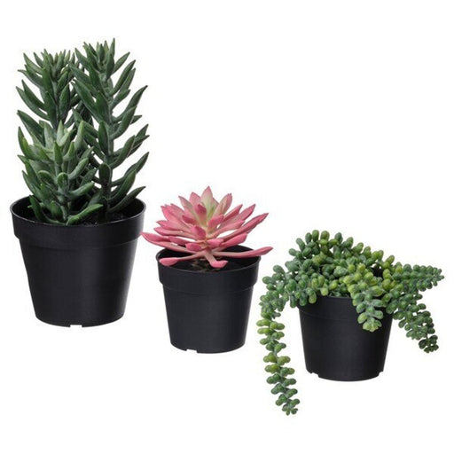 Set of 3 artificial succulents in pots - lifelike, maintenance-free 90538015