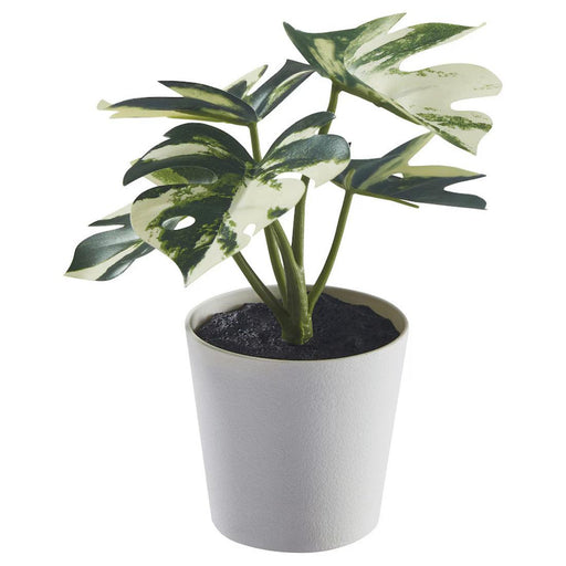 monstera ikea IKEA FEJKA 6 cm Monstera Plant, Artificial, Indoor/Outdoor Use| Digital Shoppy — digitalshoppy.in