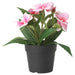 IKEA artificial potted plant in balsam pink color - indoor/outdoor use 80548307