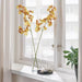 IKEA Lifelike artificial white roses in a clear glass vase, perfect for indoor decor-40538027