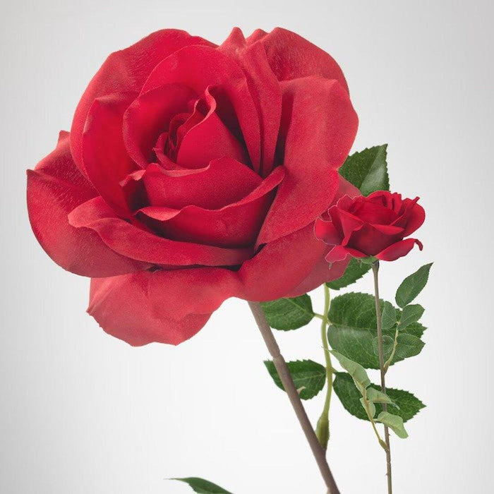 IKEA SMYCKA Artificial flower, rose/red, 75 cm with IKEA SMYCKA Artificial flower, Rose/red52 cm