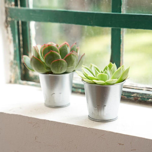 ikea galvanized plant pot IKEA ÅKERBÄR Metal Plant Pot – Durable Galvanized Design for Any Space