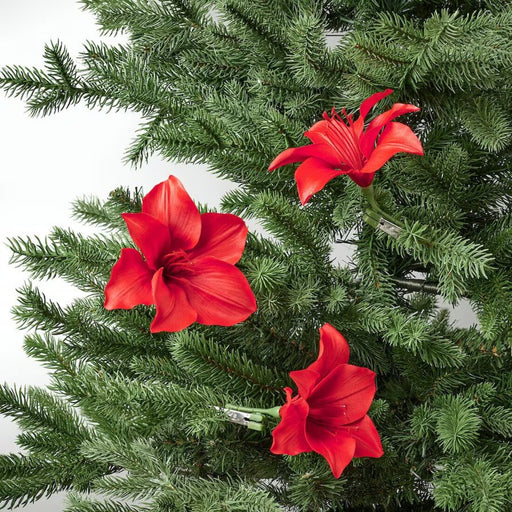 Amaryllis Red Wreath Decoration from IKEA.
