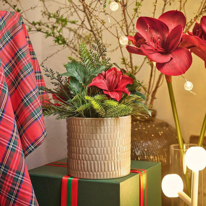 IKEA CHIAFRÖN Plant pot, in/outdoor light grey-beige12 cm with  VINTERFINT Artificial potted plant, 12 cm