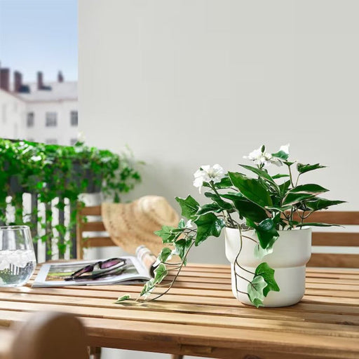 Digital Shoppy IKEA Artificial potted plant, in/outdoor Geranium/hanging white12 cm low maintenance lifelike realistic artificial indoor outdoor