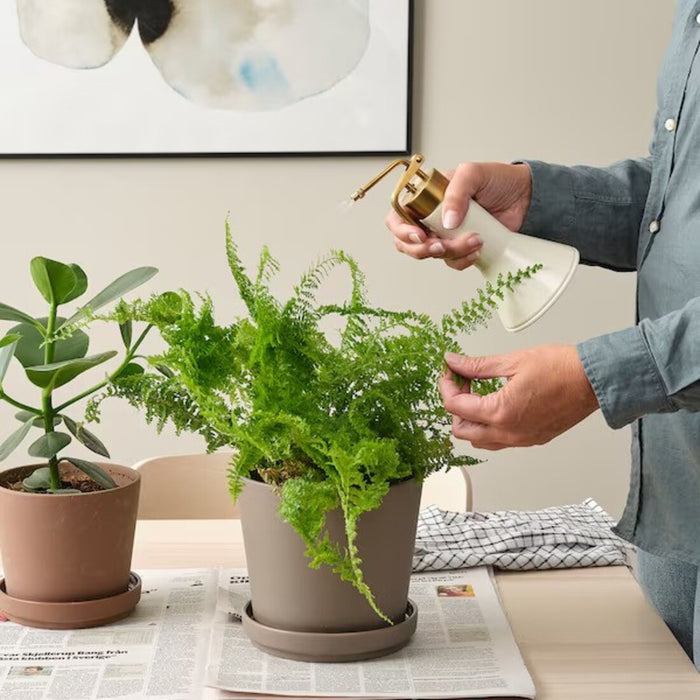 See the IKEA VATTENKRASSE Plant Mister in action, maintaining optimal humidity for your indoor plants with its fine mist spray-10561991