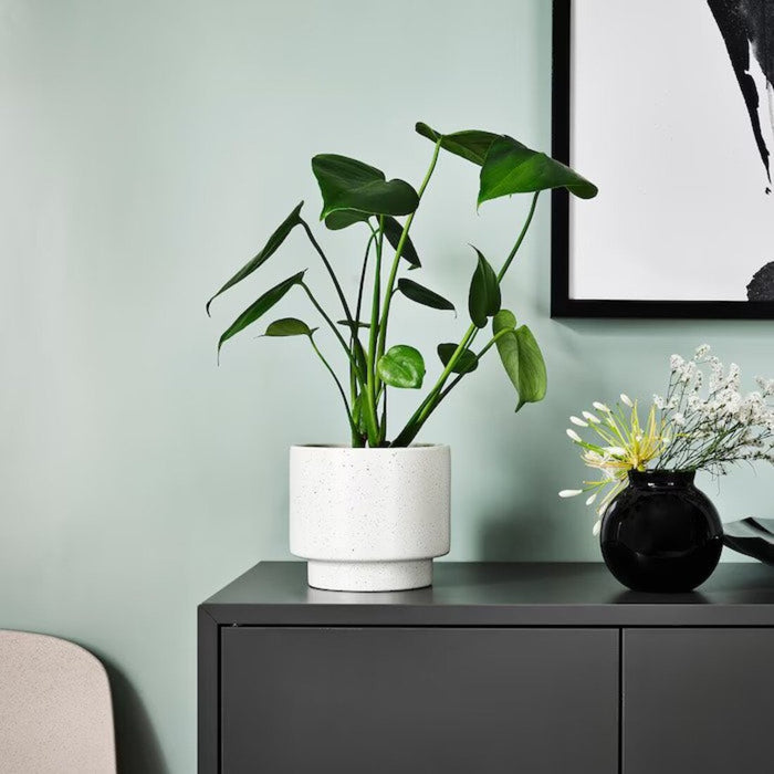 A durable IKEA plant pot that's easy to clean and maintain-20537972