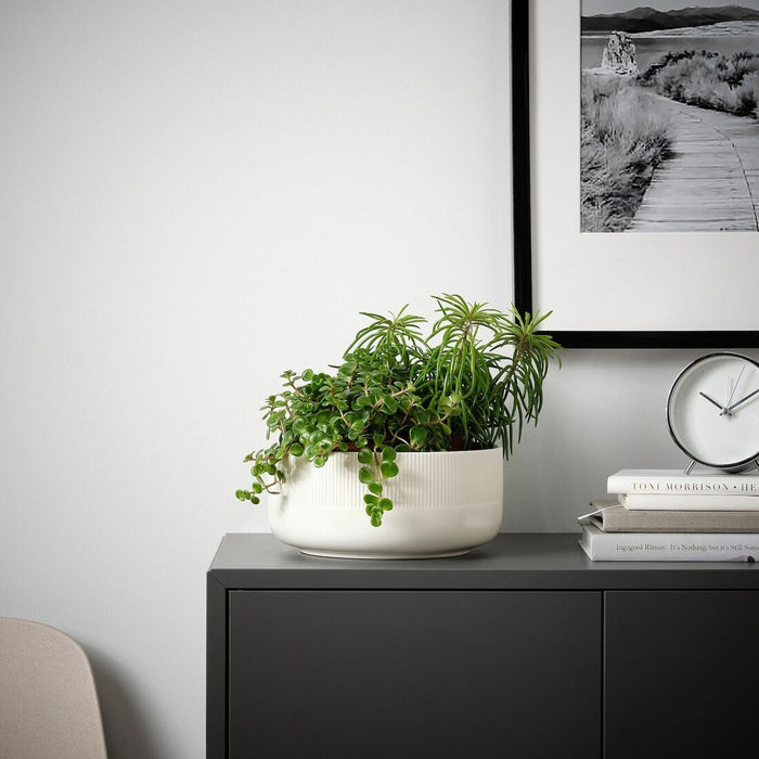 "IKEA GRADVIS Planter: A stylish choice for indoor and outdoor gardening."