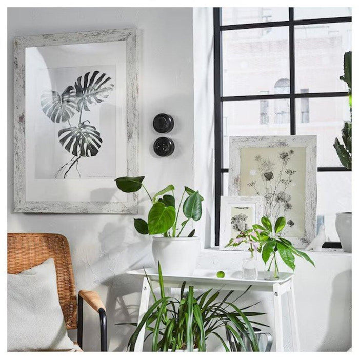 Digital Shoppy Assurance